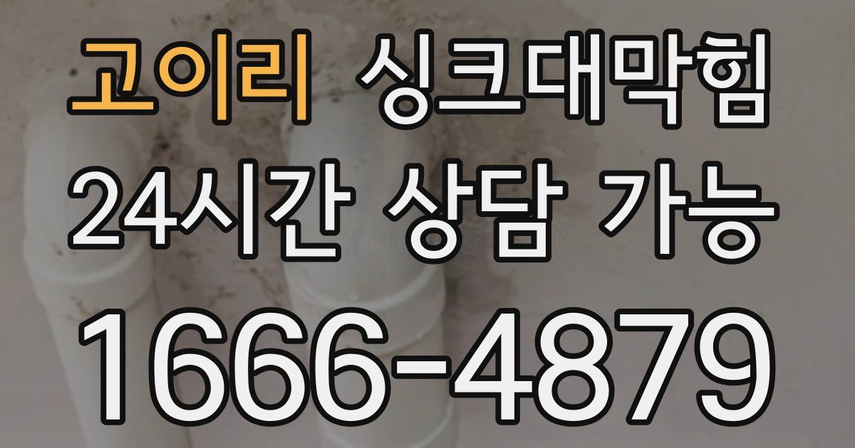 고이리 싱크대 뚫기