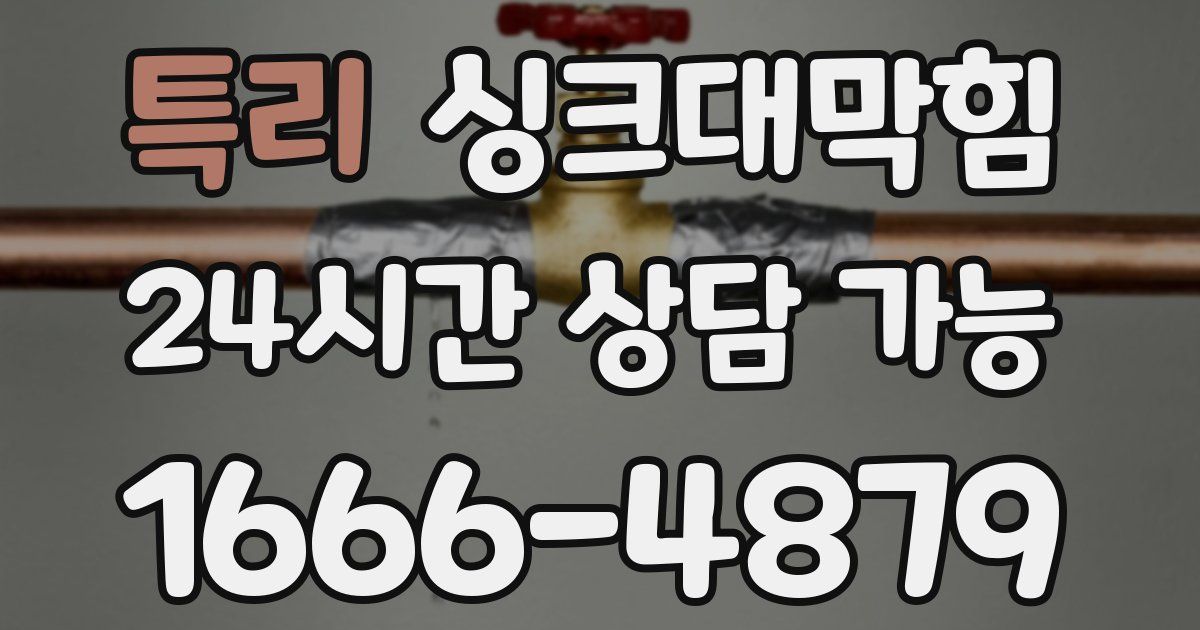 특리 싱크대 뚫기