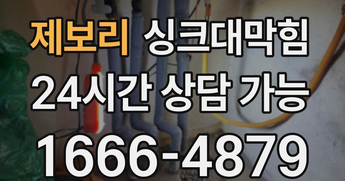제보리 싱크대 뚫기