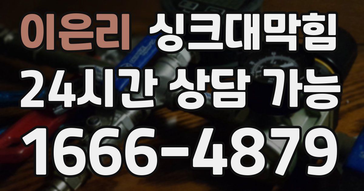 이은리 싱크대 뚫기