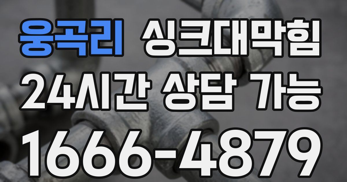 웅곡리 싱크대 뚫기