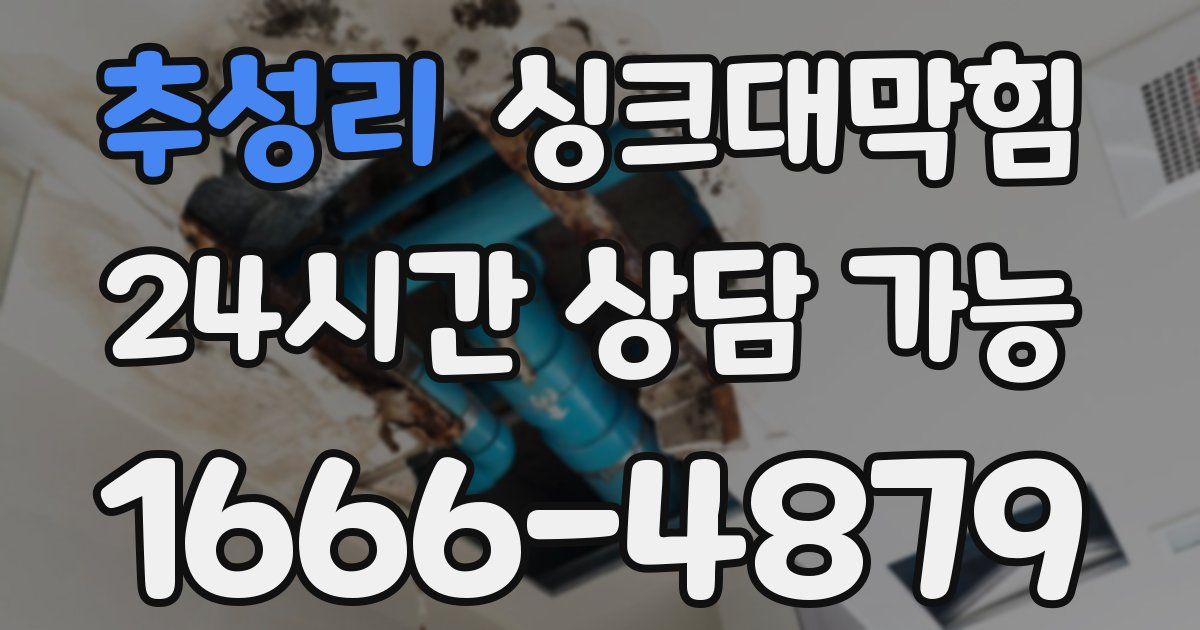 추성리 싱크대 뚫기