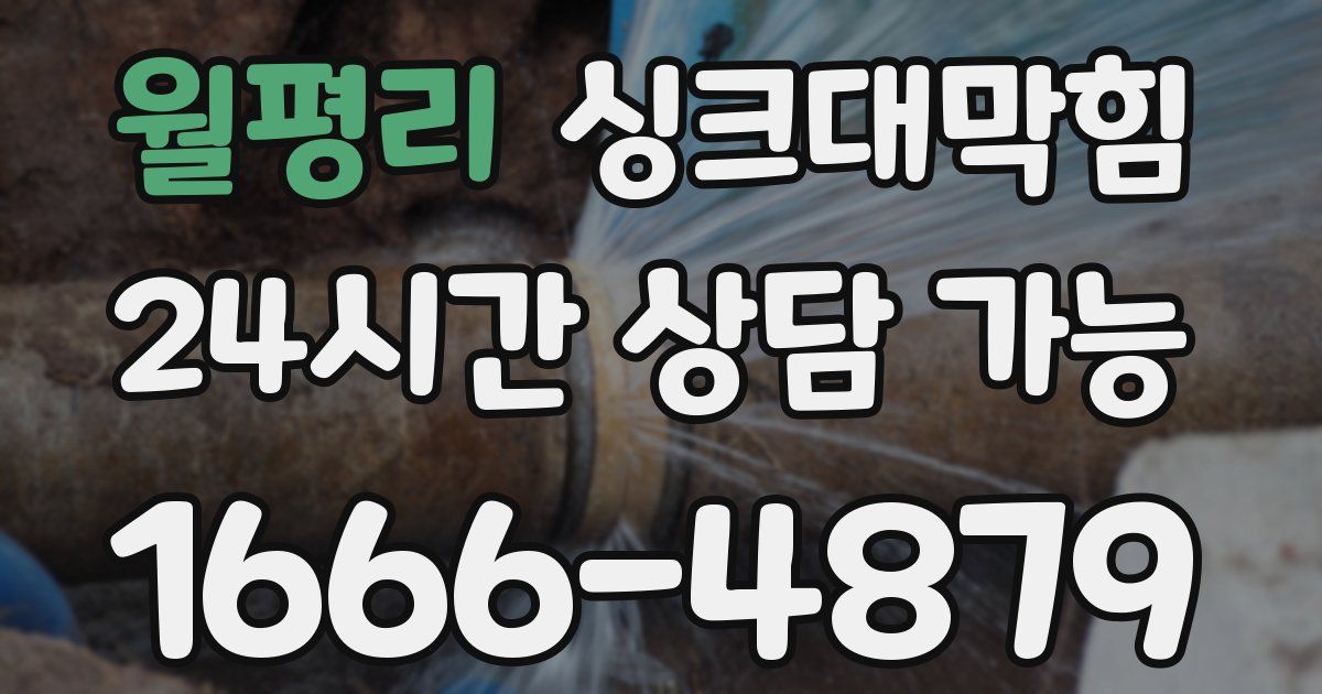 월평리 싱크대 뚫기