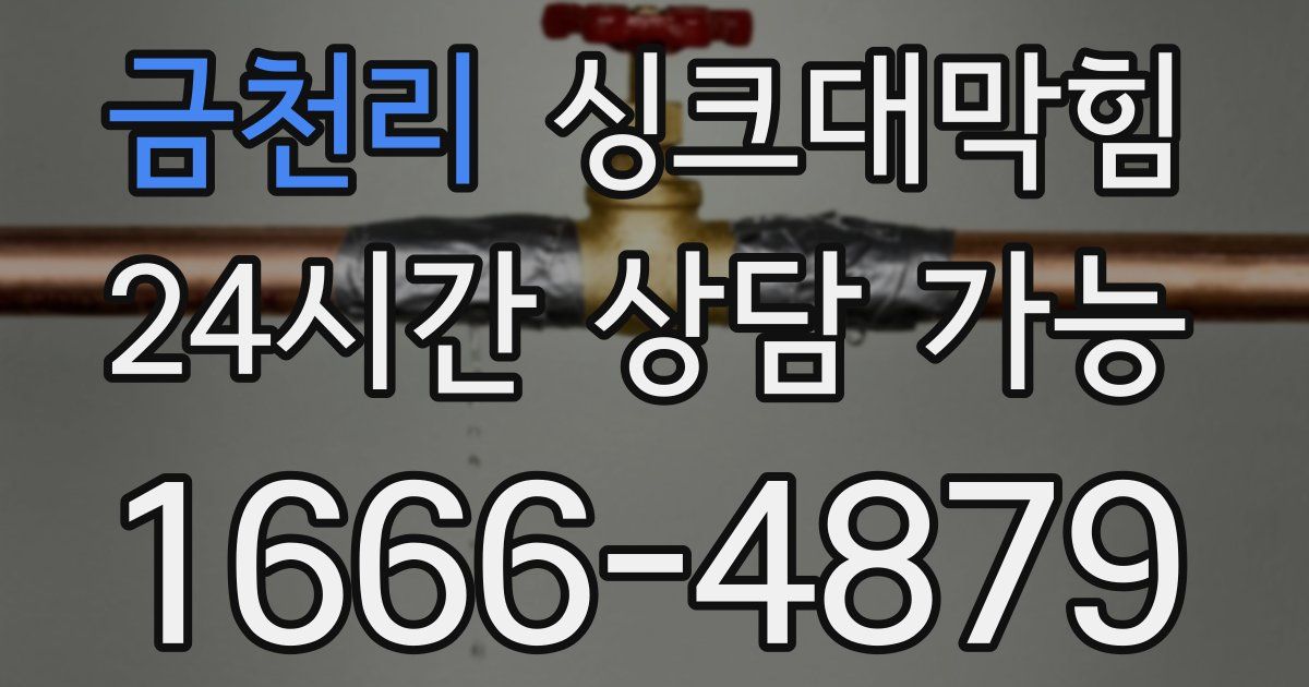 금천리 싱크대 뚫기