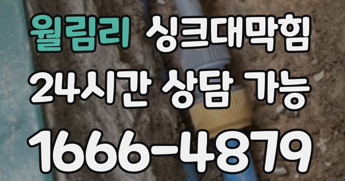 월림리 싱크대 뚫기