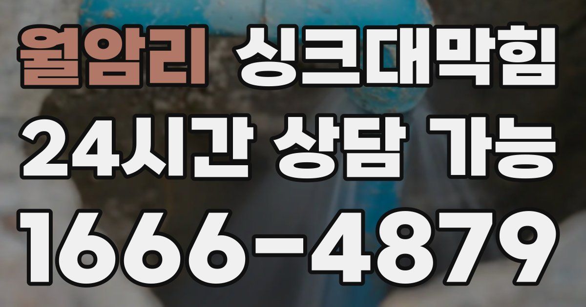 월암리 싱크대 뚫기