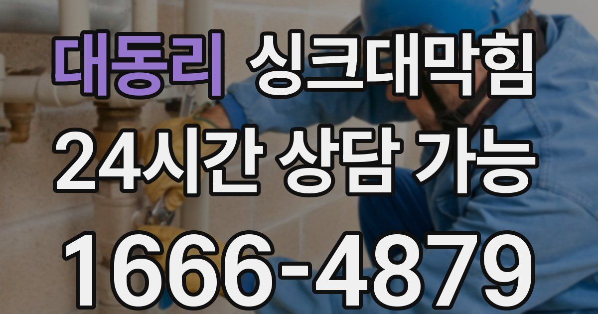 대동리 싱크대 뚫기