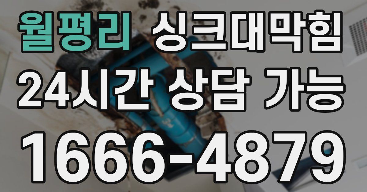 월평리 싱크대 뚫기