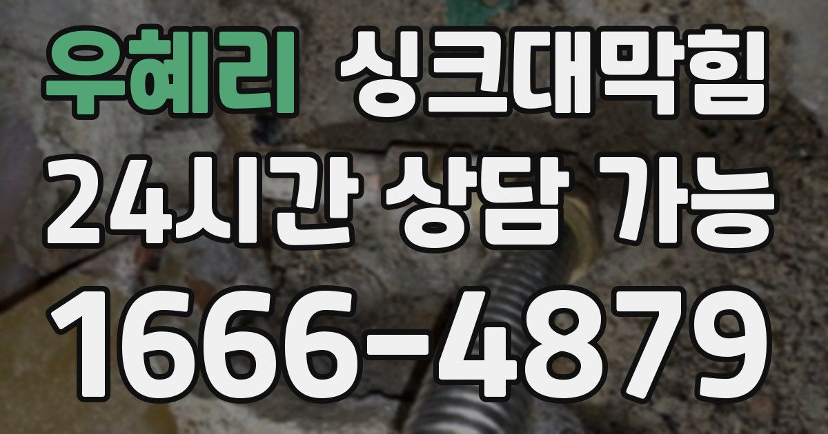 우혜리 싱크대 뚫기