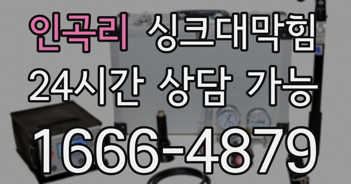 인곡리 싱크대 뚫기