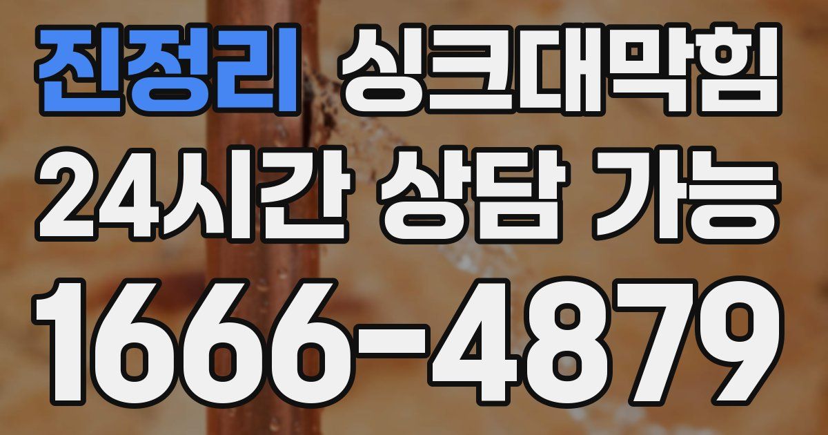 진정리 싱크대 뚫기