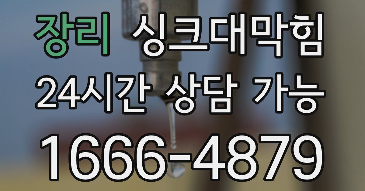 장리 싱크대 뚫기