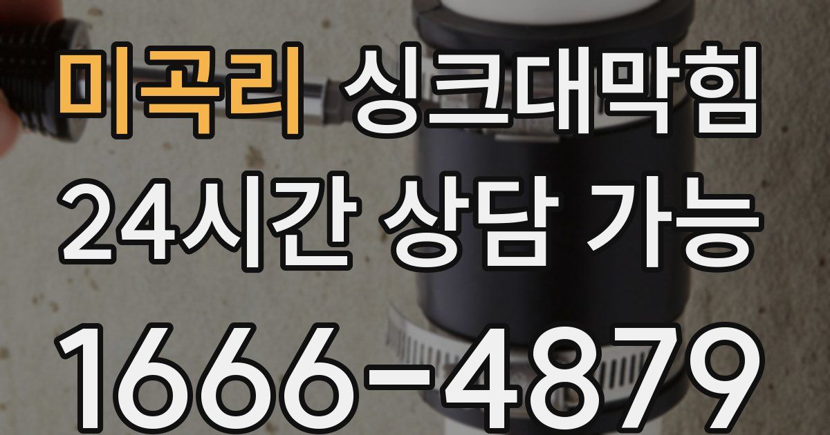 미곡리 싱크대 뚫기
