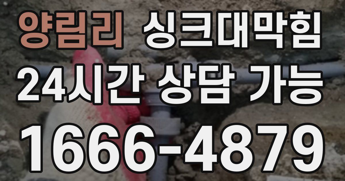 양림리 싱크대 뚫기