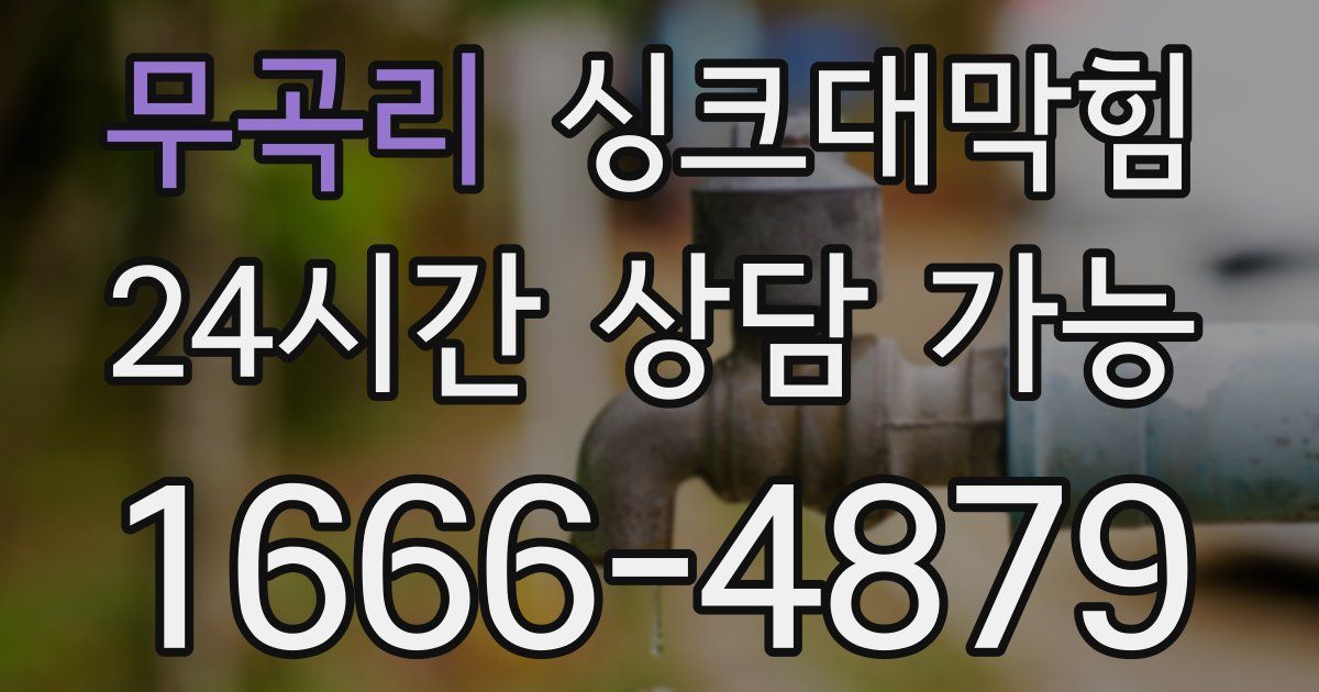 무곡리 싱크대 뚫기