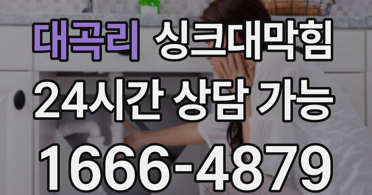 대곡리 싱크대 뚫기