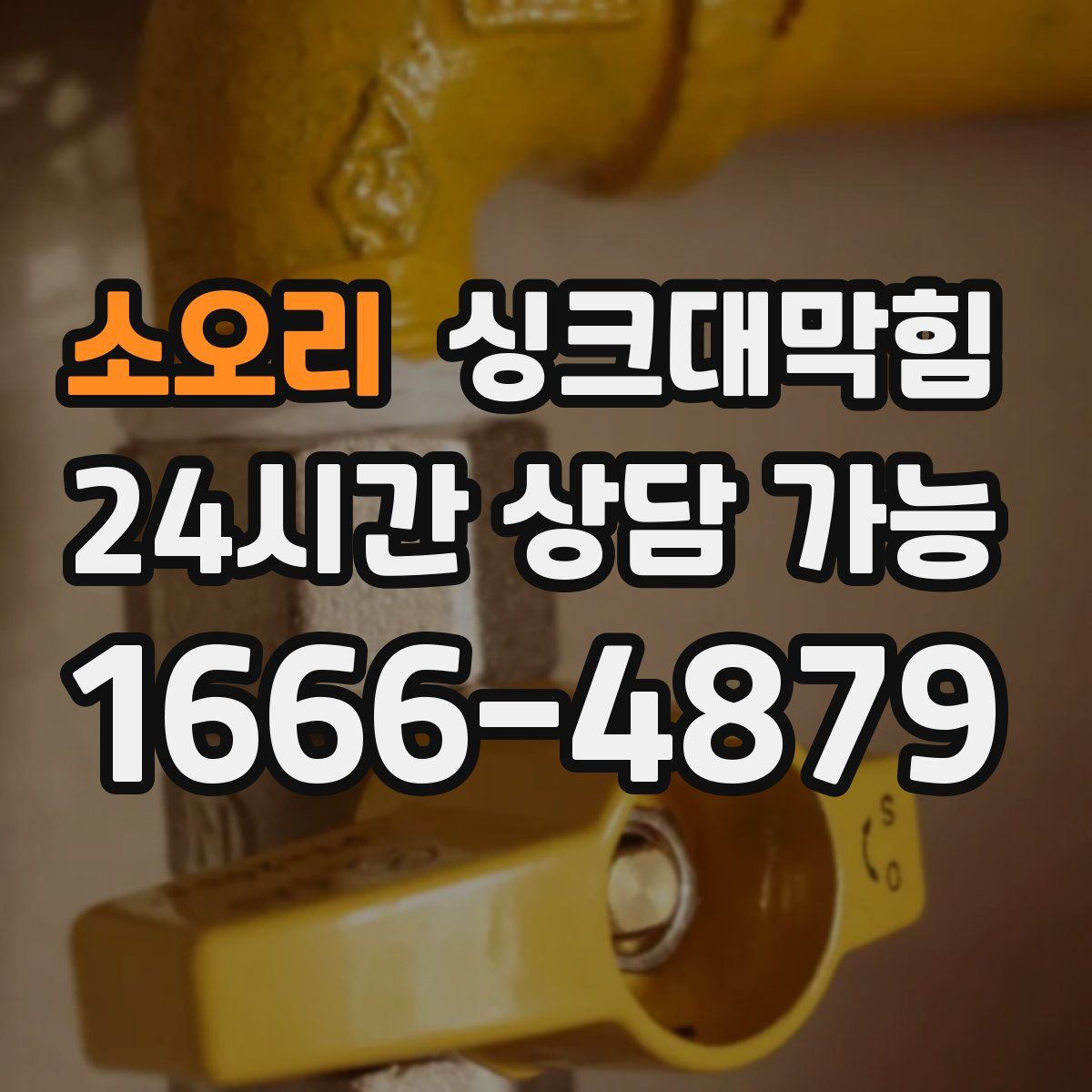 소오리 싱크대막힘