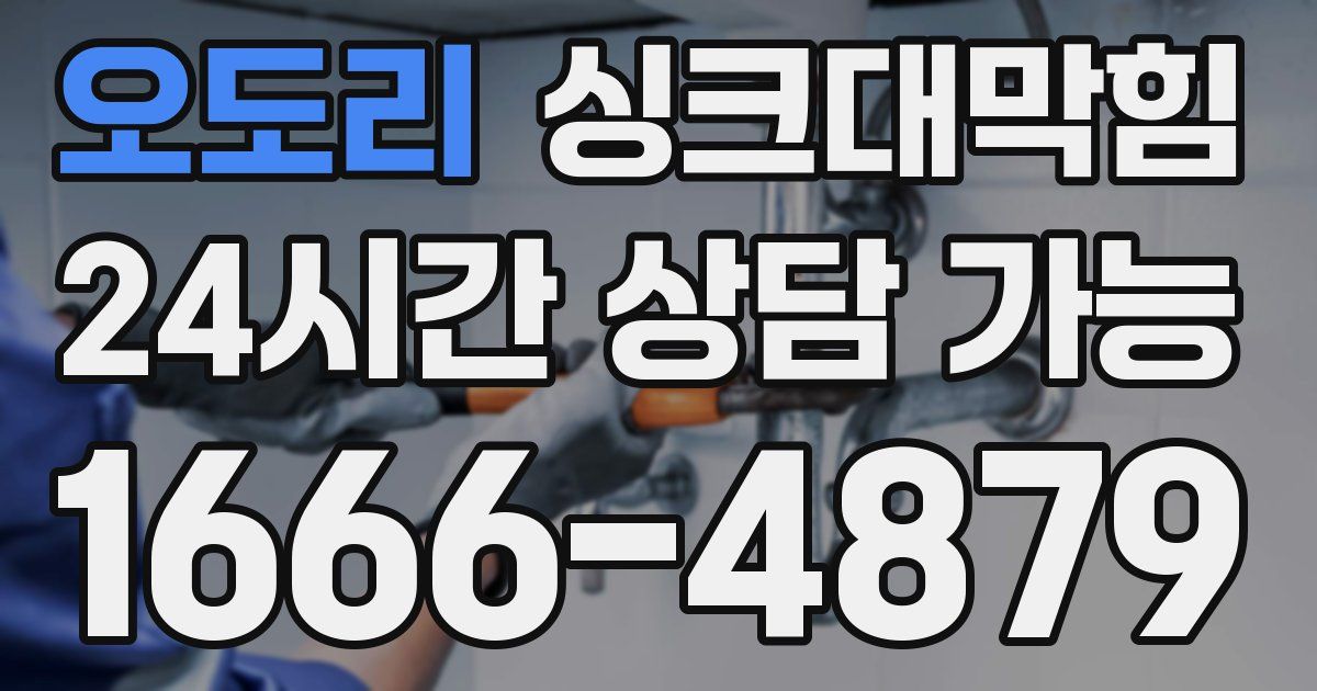 오도리 싱크대 뚫기