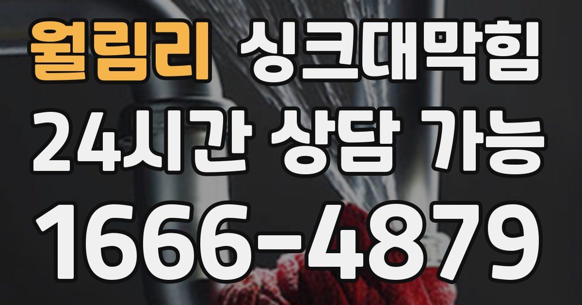 월림리 싱크대 뚫기