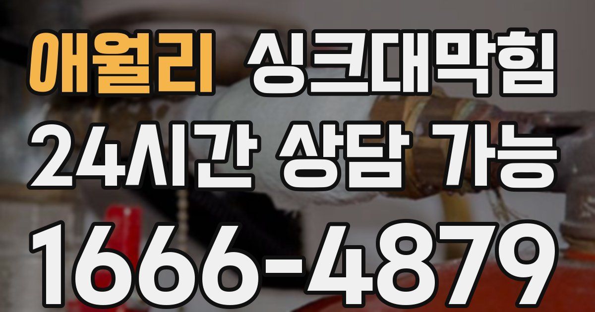 애월리 싱크대 뚫기