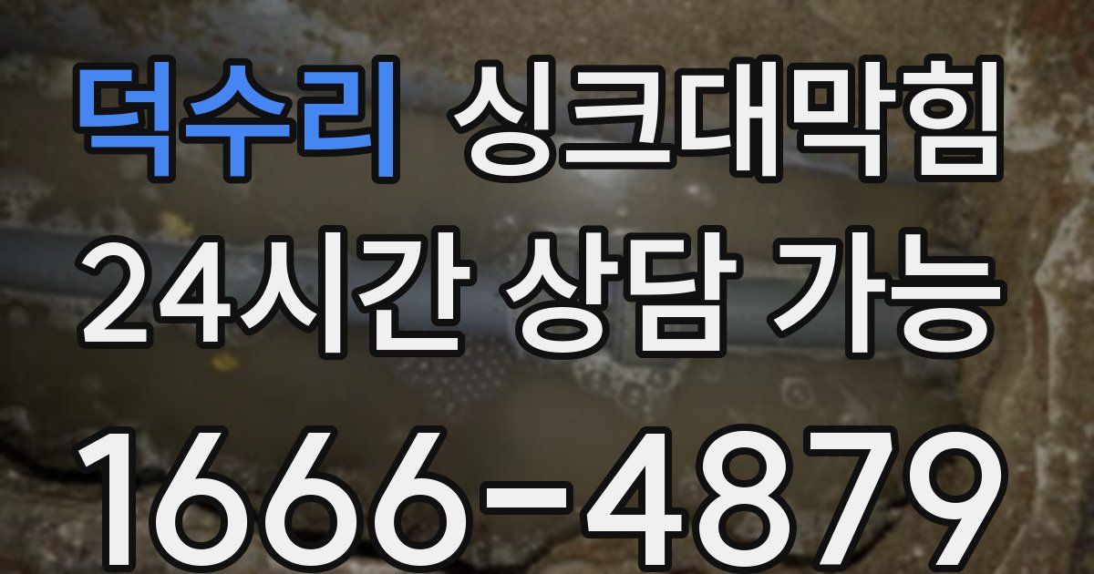 덕수리 싱크대 뚫기