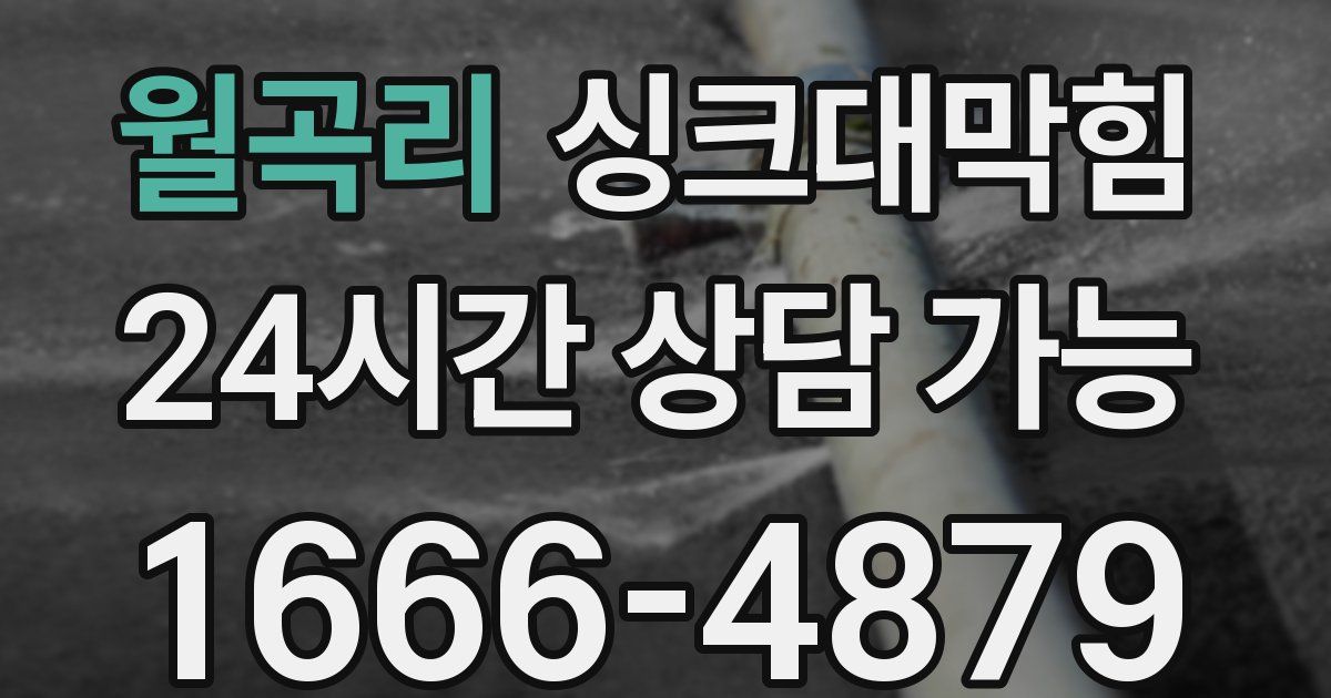 월곡리 싱크대 뚫기