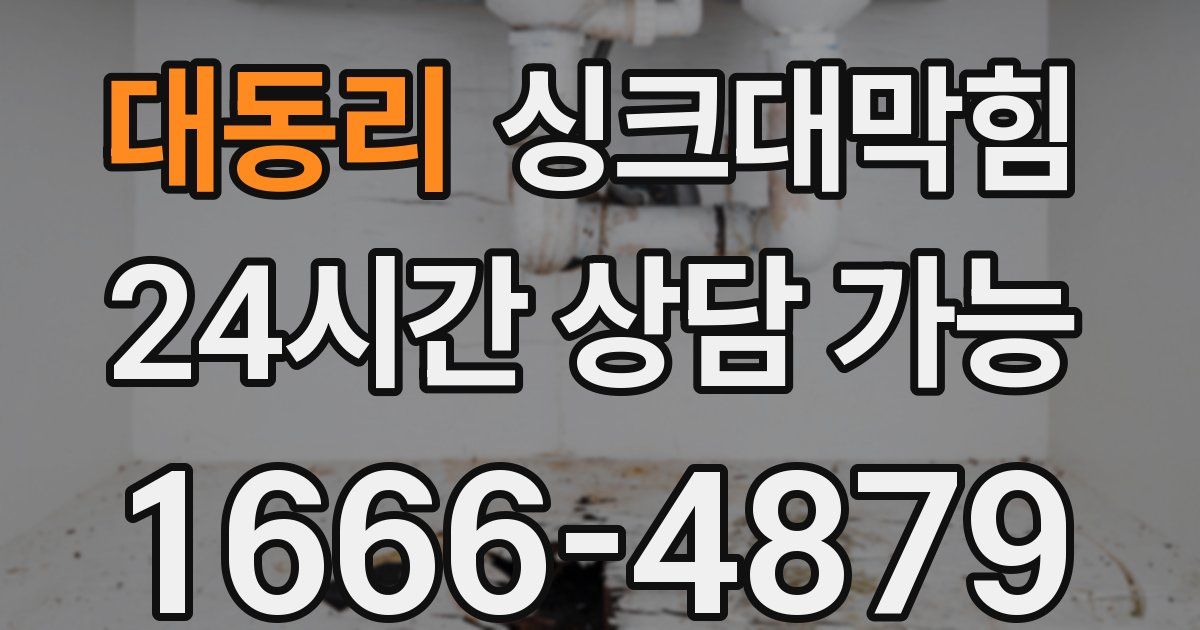 대동리 싱크대 뚫기