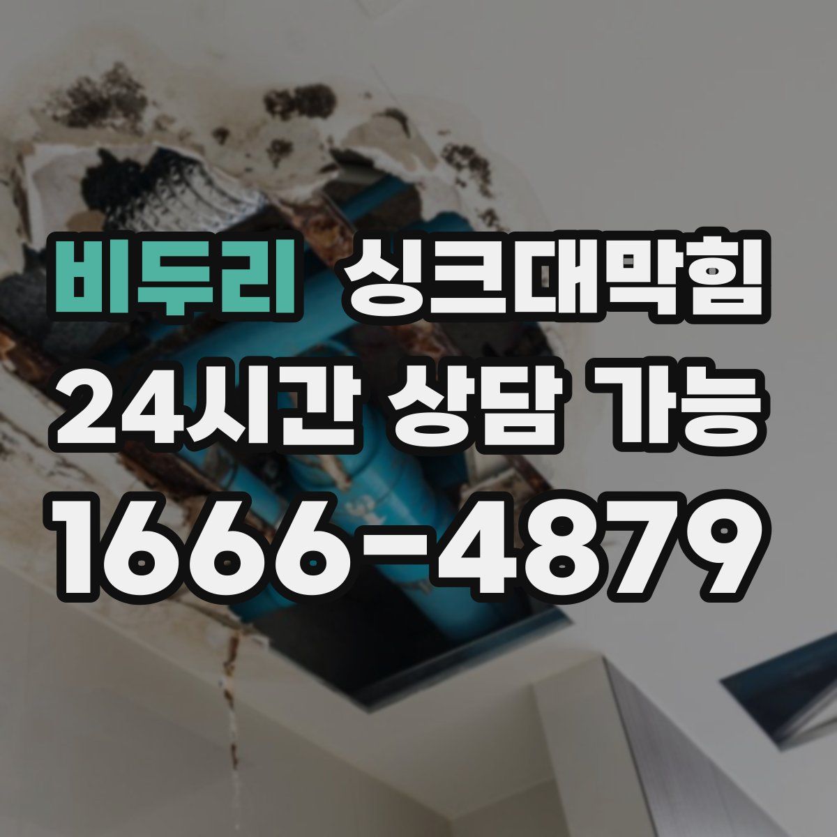 비두리 싱크대막힘