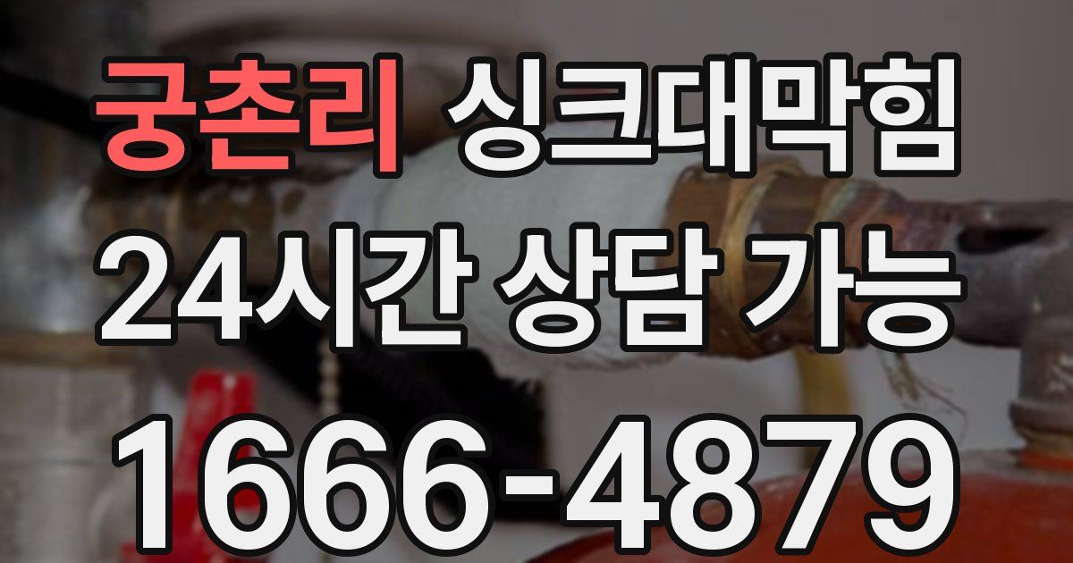 궁촌리 싱크대 뚫기