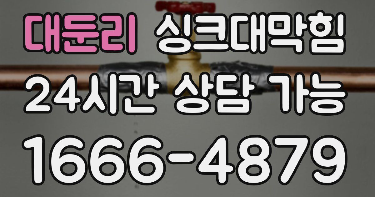 대둔리 싱크대 뚫기