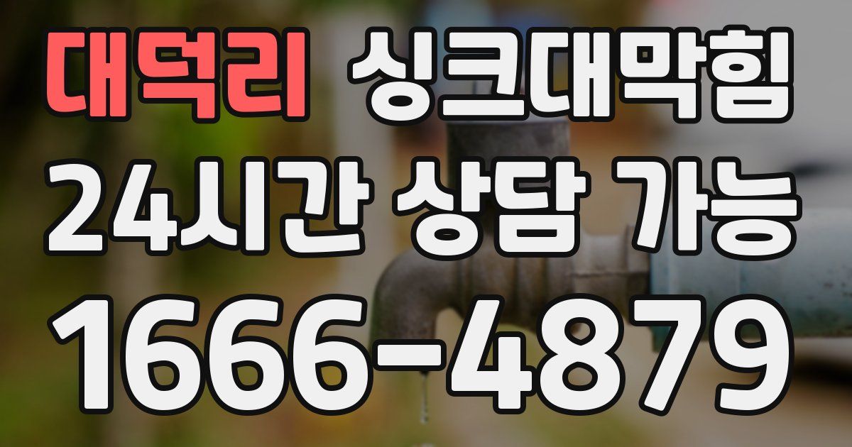 대덕리 싱크대 뚫기