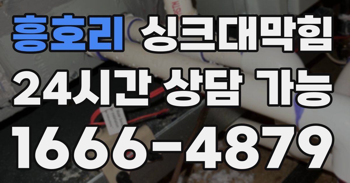 흥호리 싱크대 뚫기
