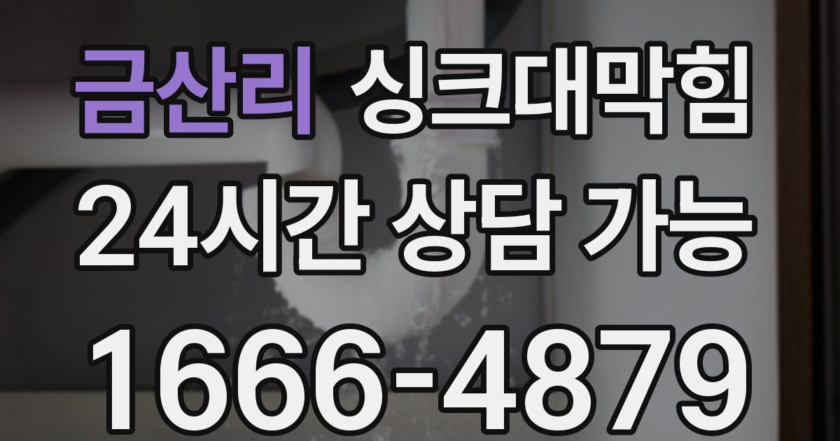 금산리 싱크대 뚫기
