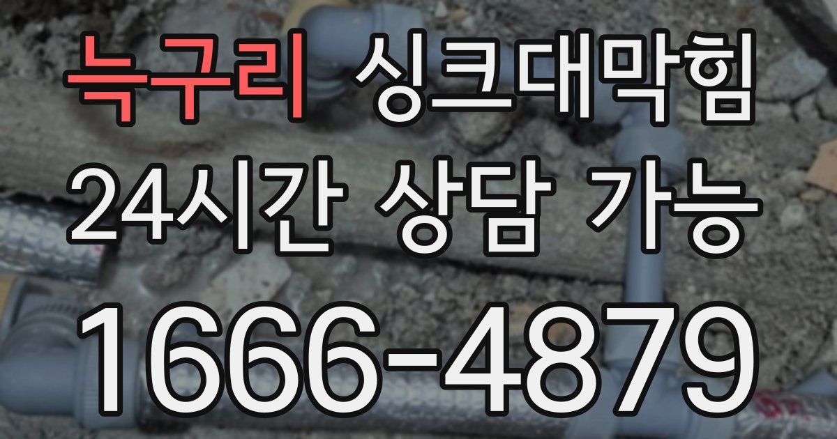 늑구리 싱크대 뚫기