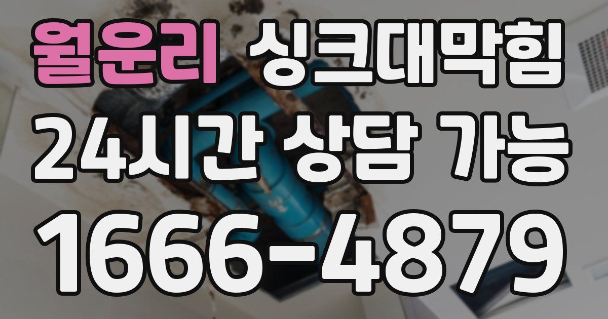 월운리 싱크대 뚫기