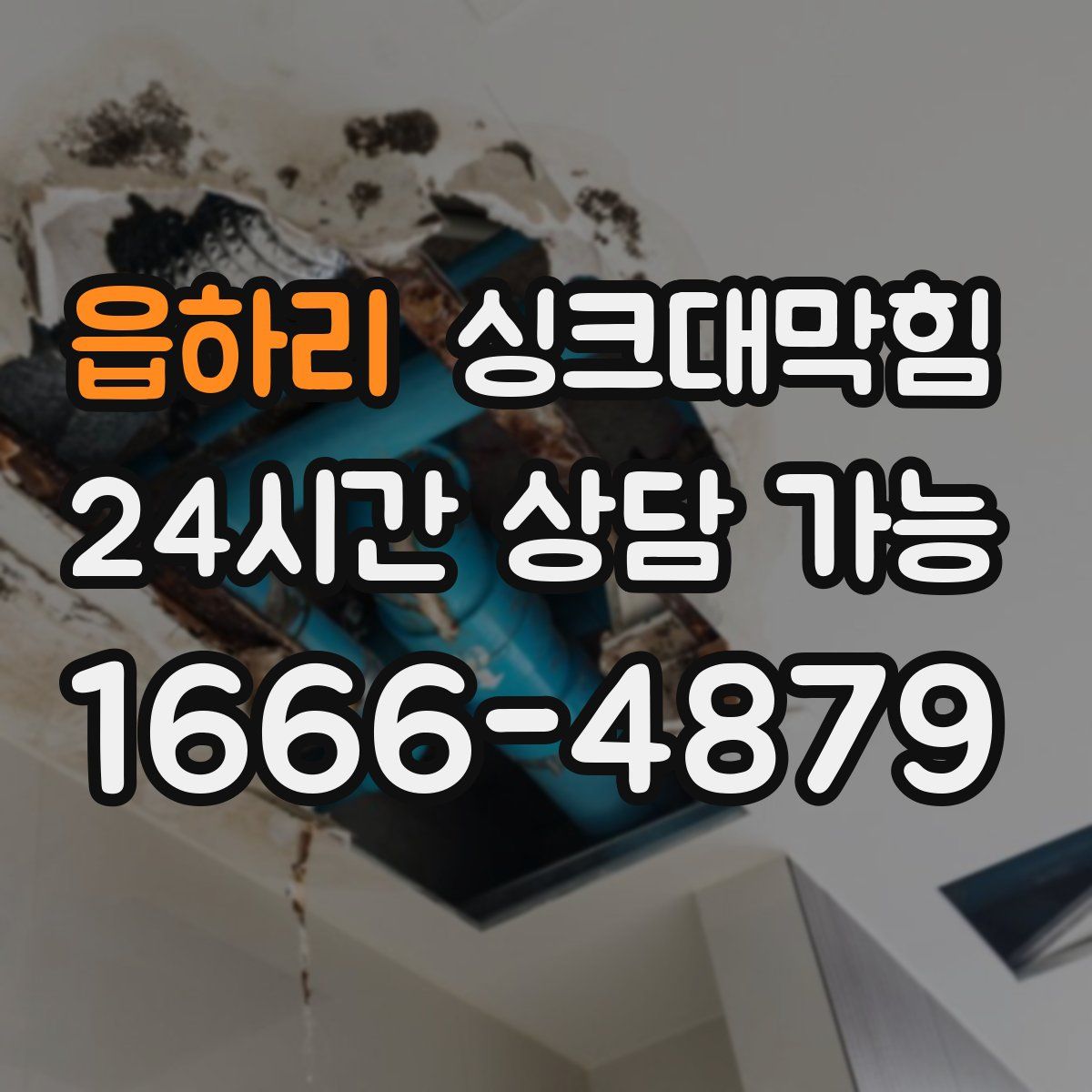 읍하리 싱크대막힘