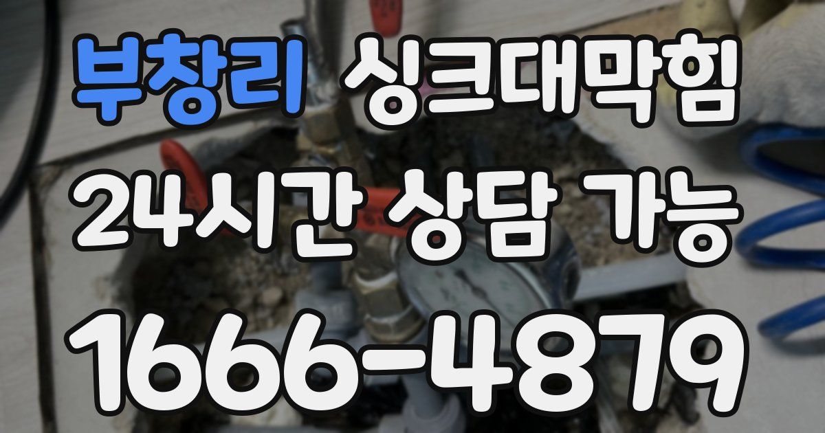 부창리 싱크대 뚫기