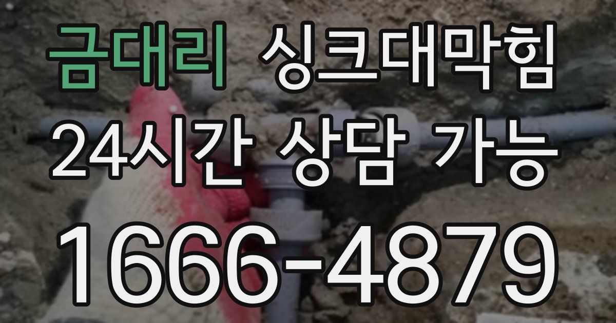 금대리 싱크대 뚫기