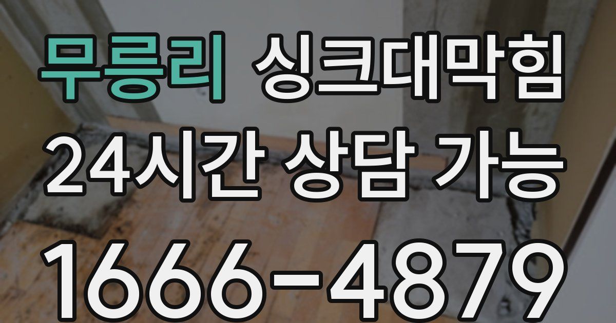 무릉리 싱크대 뚫기
