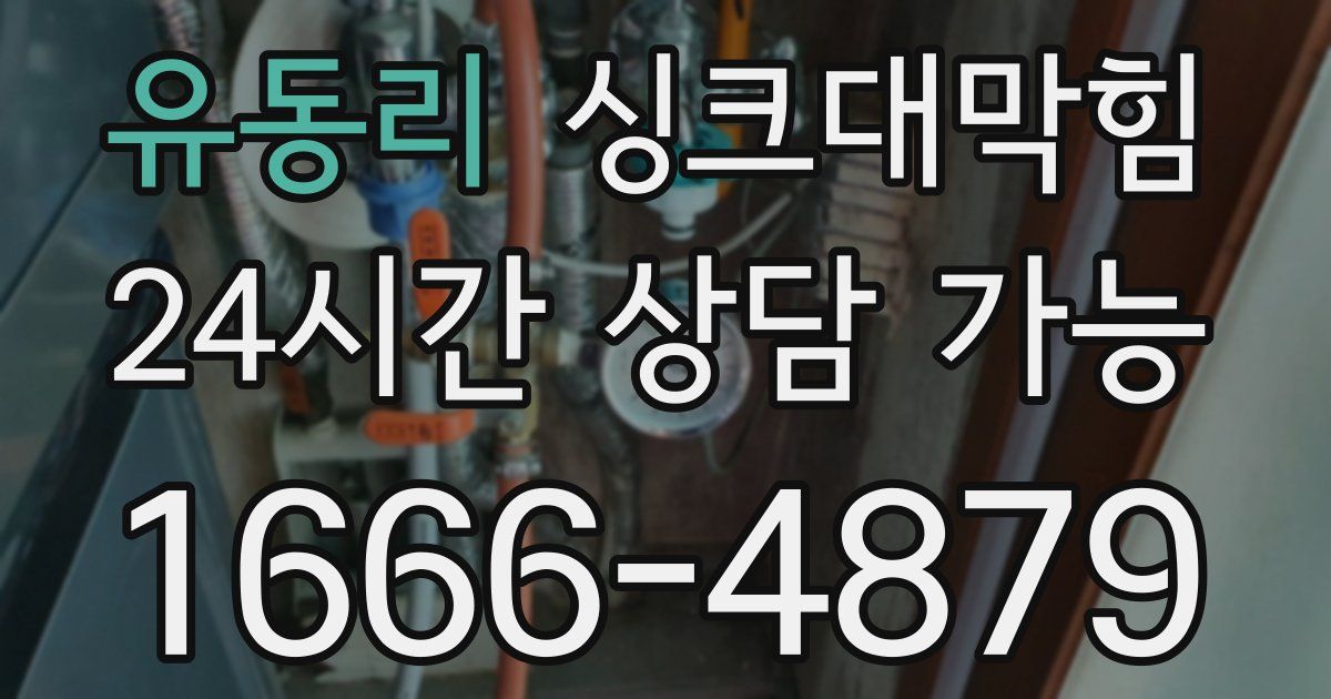 유동리 싱크대 뚫기