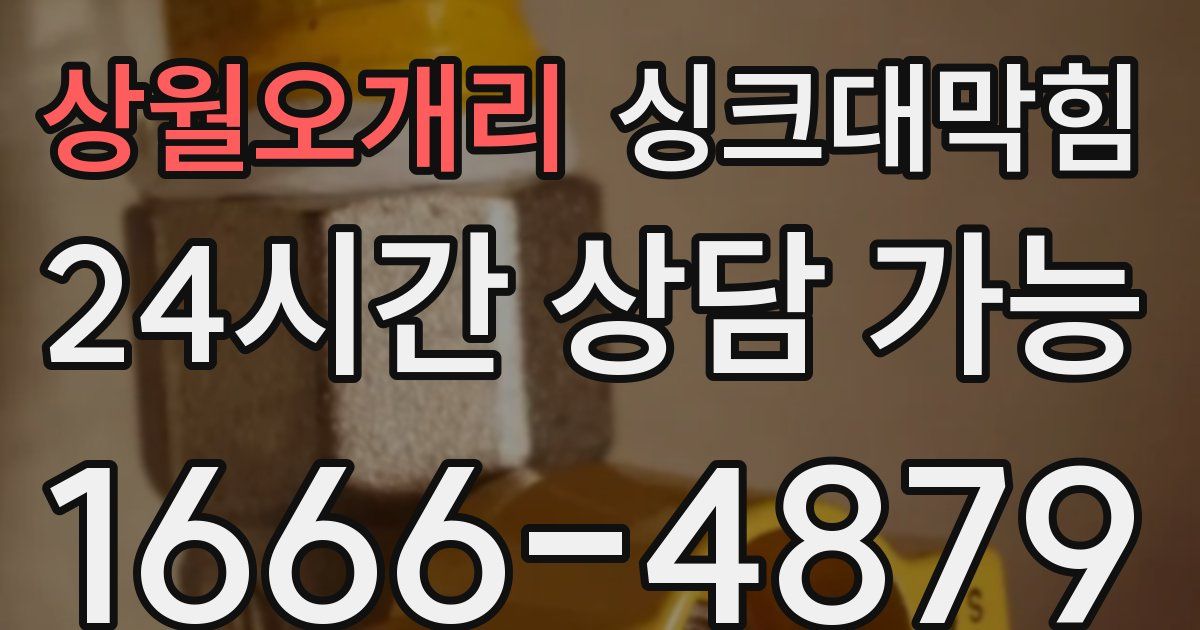 상월오개리 싱크대 뚫기