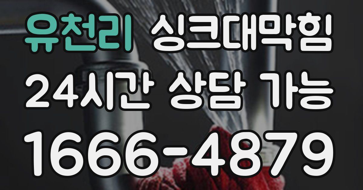 유천리 싱크대 뚫기