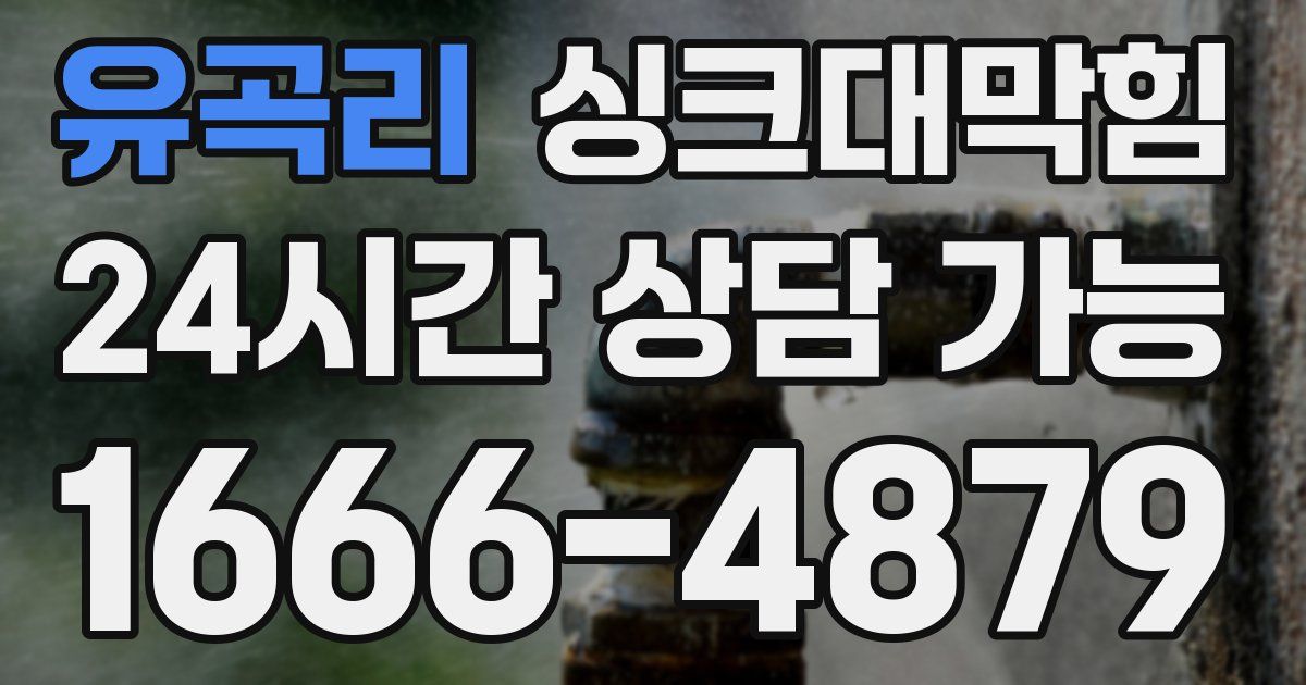 유곡리 싱크대 뚫기
