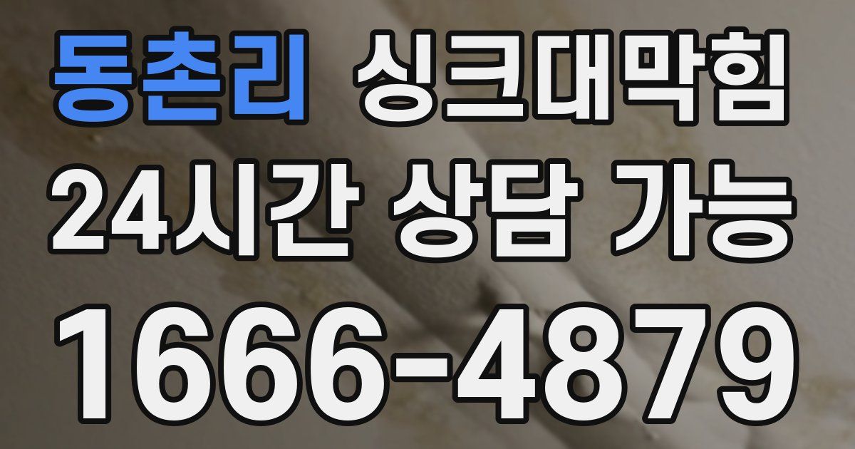 동촌리 싱크대 뚫기