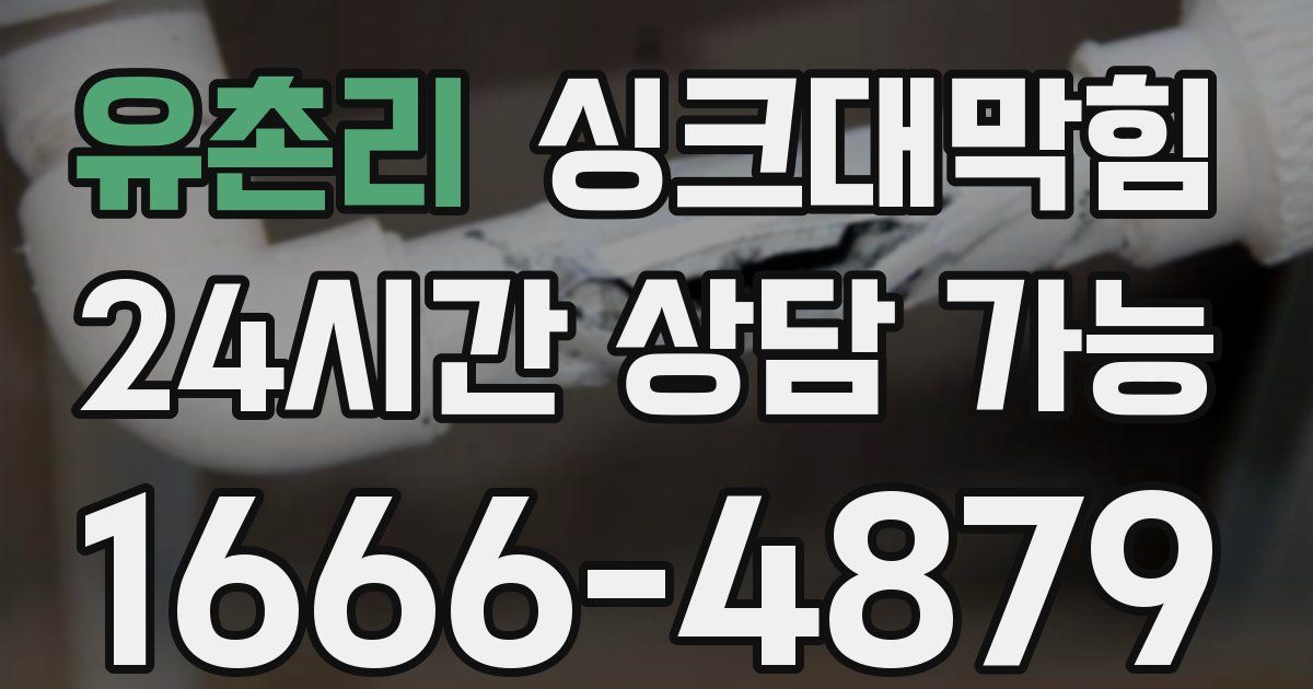 유촌리 싱크대 뚫기