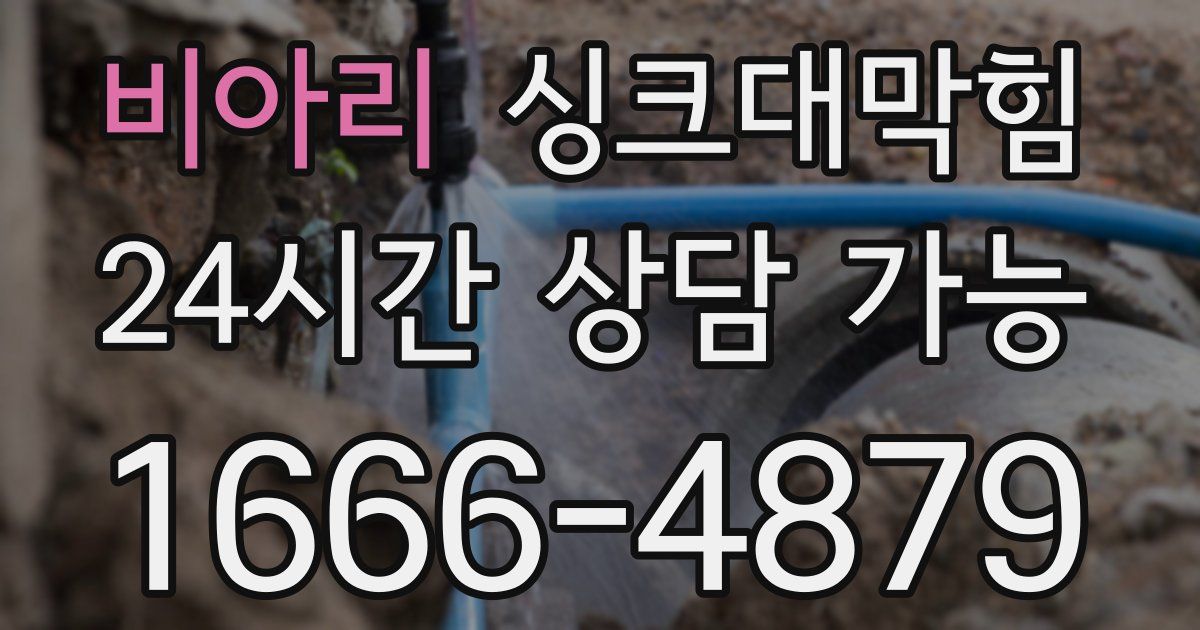 비아리 싱크대 뚫기