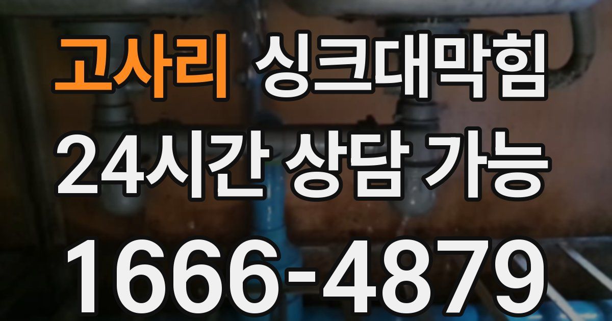 고사리 싱크대 뚫기