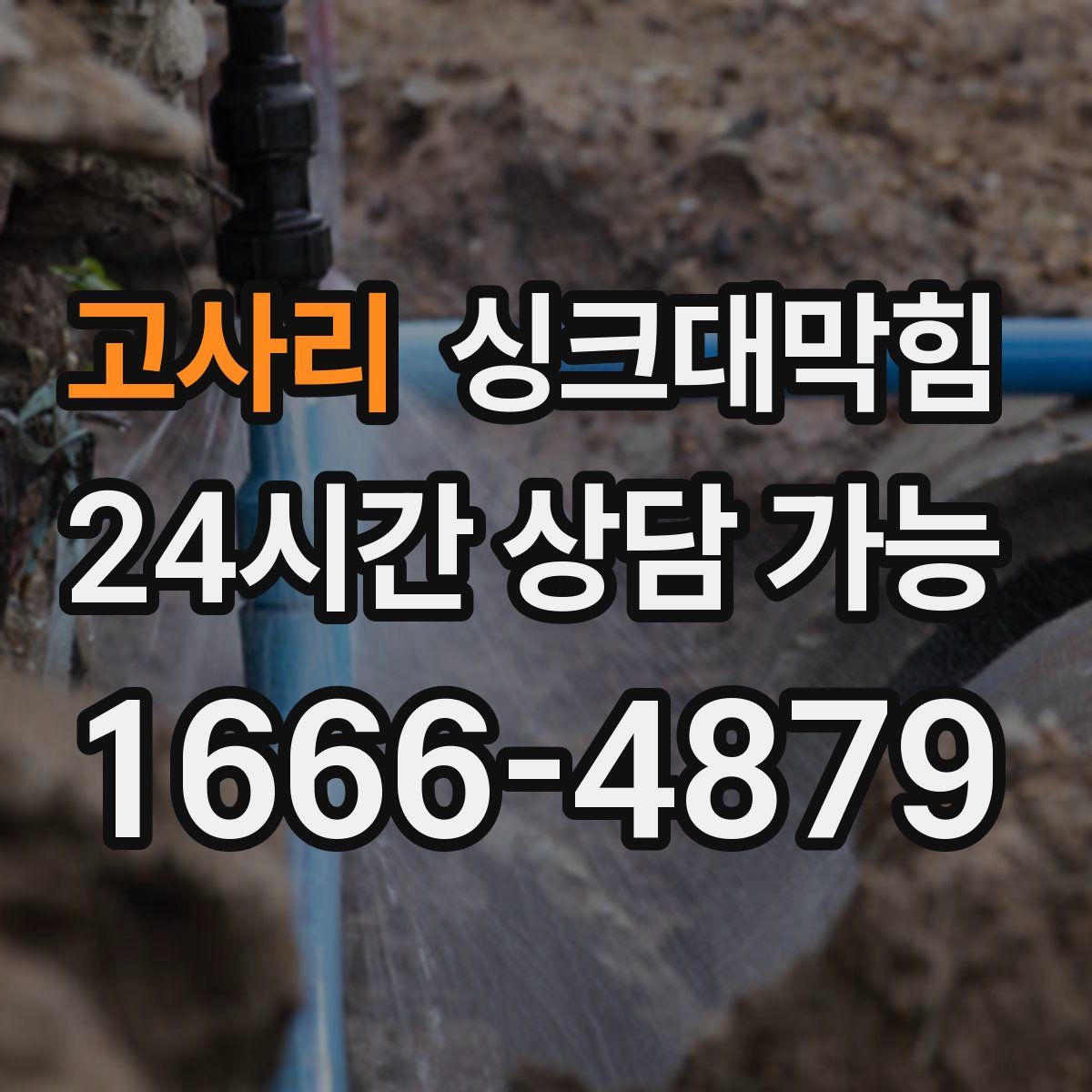 고사리 싱크대막힘