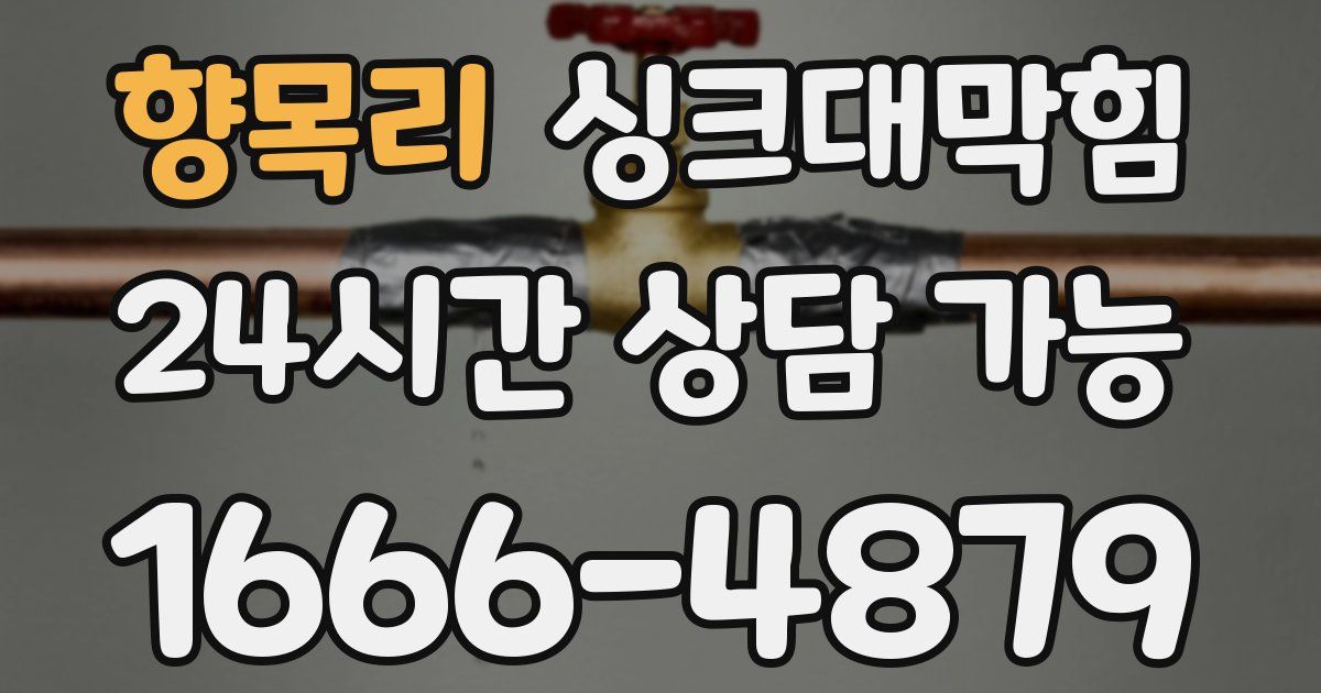 향목리 싱크대 뚫기