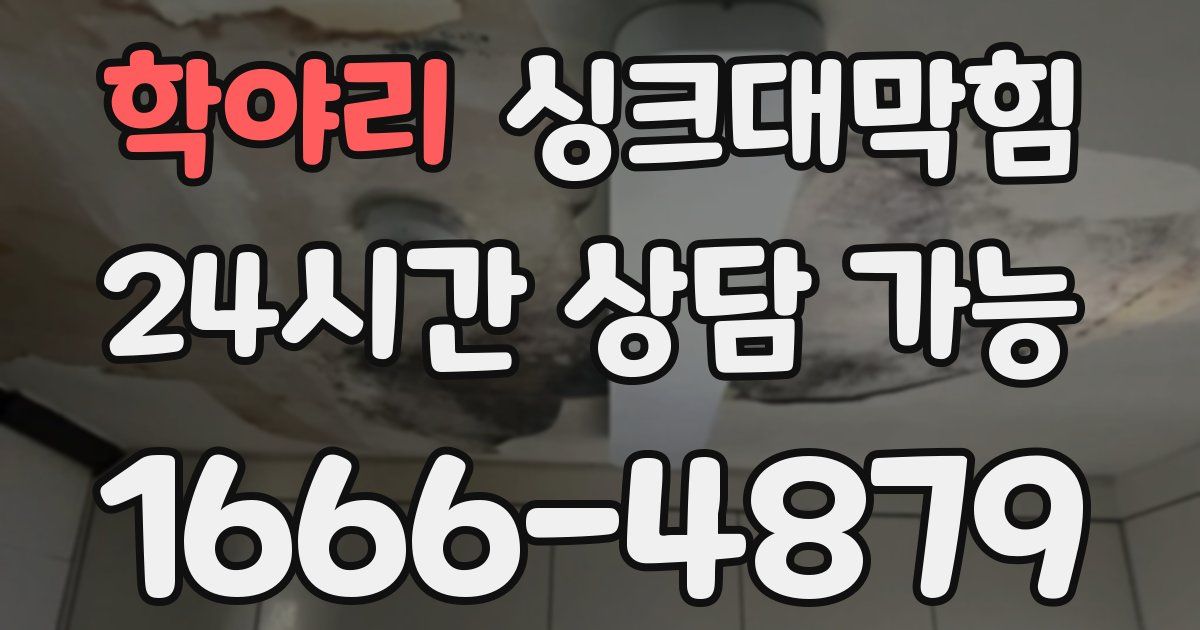 학야리 싱크대 뚫기